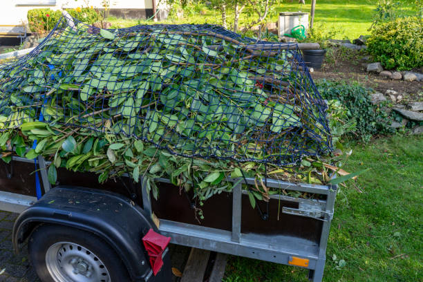  Carson City, MI Junk Removal Services Pros